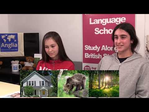 Elementary (A2) - Speaking Test