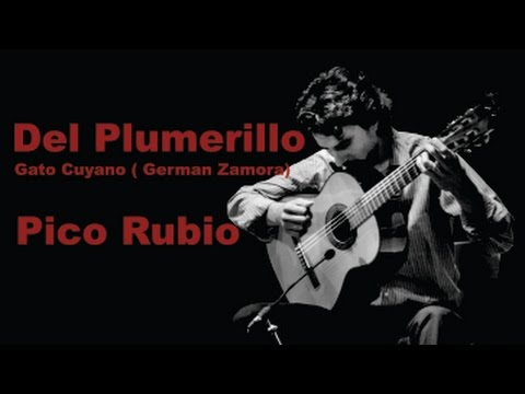 Gato Cuyano Del Plumerillo de German Zamora - Gato Cuyano en Guitarra