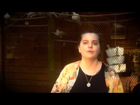 GASTHAUS IM HASENWALD - !!! Viel Glück !!!