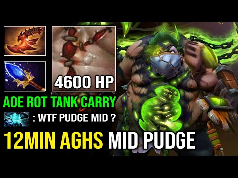 WTF 12MIN AGHANIM PUDGE Super Tank Carry 4600 HP Crazy AoE Slow DPS EZ MMR Dota 2