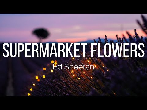 Ed Sheeran - Supermarket Flowers (Lyrics)