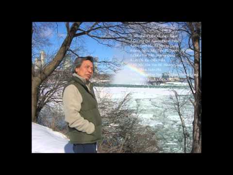 Dòng nước mắt trên xứ người - Võ Hạ Trâm