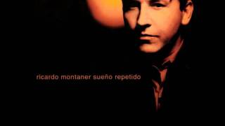 Ricardo Montaner - Resumiendo (HQ Audio).wmv