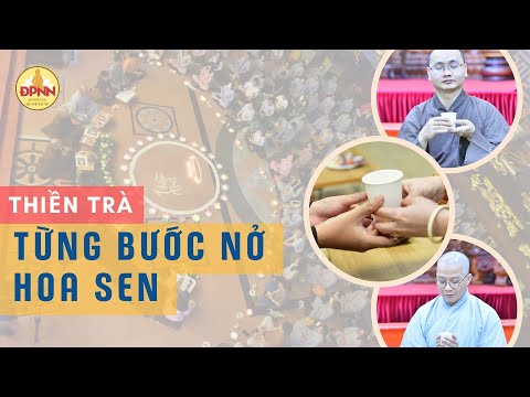 Thiền trà - Từng bước nở hoa sen