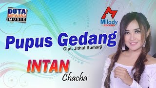 Download lagu Intan Chacha - Pupus Gedang | Dangdut mp3 Download lagu Intan Chacha - Pupus Gedang | Dangdut mp3