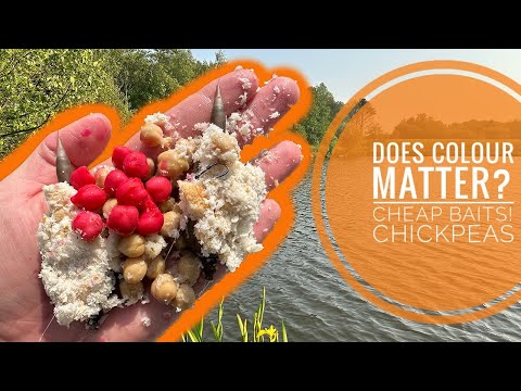 Method Feeder Fishing with CHICKPEAS and Bread | CHEAP Supermarket Baits