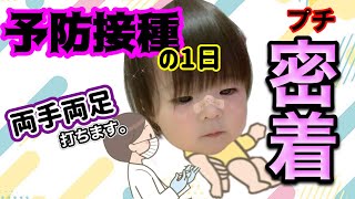 【予防接種の日】りんちゃん１日プチ密着!!!