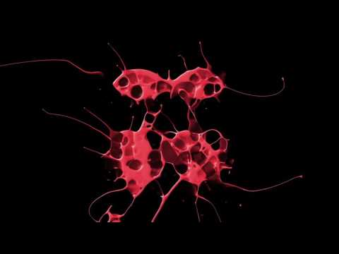 Richard Grey Feat. ZoeXenia - Unchain It (Radio Edit)