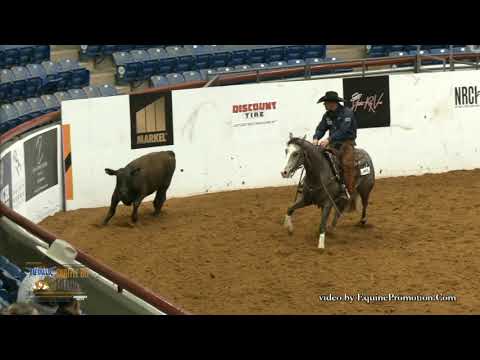 RKR SpaceCowboy ridden by Luke J. Hammerness  - 2019 Snaffle Bit Futurity (Cow - Open Prelims)