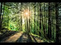 Yanni - In Your Eyes
