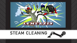 Steam Cleaning - Lemurzin