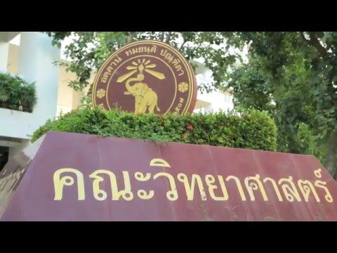 ข้อความที่จะกระตุ้นผู้หญิงปากกา ที่คุณสามารถซื้อลดลงของราคาค้อนของ ธ อร์