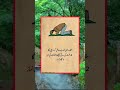 مقدر میں جو ہے Live Urdumehfil Urdumusic Urduqoutes Urdumusicvideo Urdu Besturdunaat Urdu