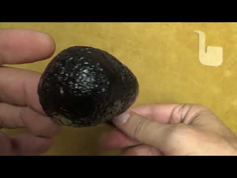 Pipa Peterson Halloween 2025 System Standard 303