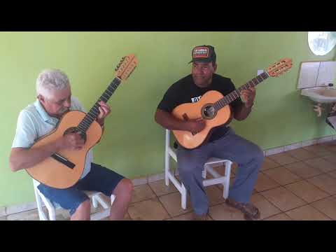 Sertanejo solitário ( Neno carreiro e Pratini)100%Raiz