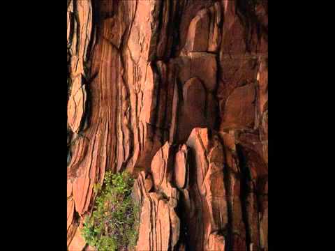 Pentru cine traiesti tu? Este viata ta dedicata lui Dumnezeu?