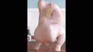 Download lagu Ayam menari mp3