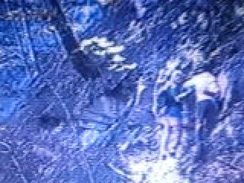 Suono patogeno femminile Propoli ed erbe della potenza sessuale