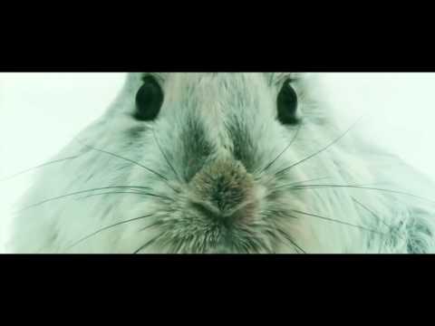 Cubic Nomad ft. Emma Susanne - De Elementen [Official Video]