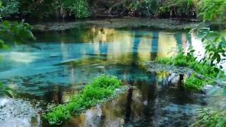 #12 Hamurana springs in Rotorua