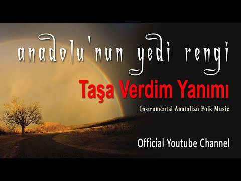 Ali Haydar Timisi - Taşa Verdim Yanımı (Official Audio - Türkü) [© 2020 Soundhorus]