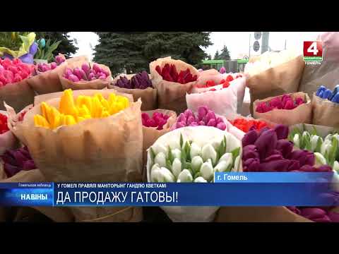 К 8 Марта МАРТ проверил продавцов тюльпанов видео