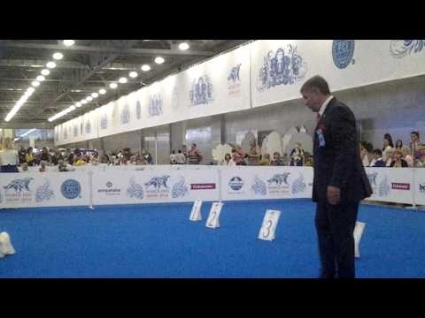 WDS 16 Female  class:Champion part 2