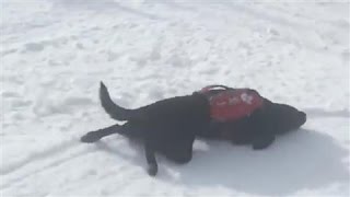 A long slide down a hill