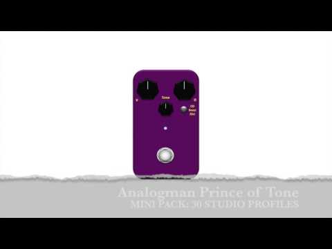 Rigbusters Kemper Profiles - Analogman Prince of Tone 3