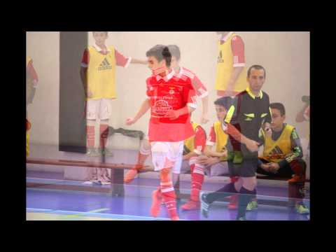 Fotos de Pedro Cabaço - Benfica 2013/2014