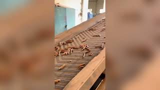 Biomass pellet production line