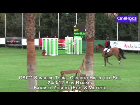 Viceroy - Karim El Zoghby