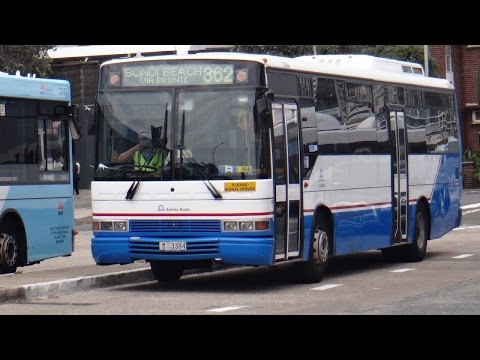Sydney Buses 3384 - Mercedes-Benz O405 (W3E) (PMC 160) - Route 362 to Coogee
