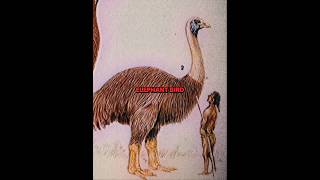 Modern animals and their giant extinct relatives part 5 #prehistoric #extinct