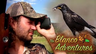 Starling Pest Control with the TDR | The Blanco Adventures - Episode 2