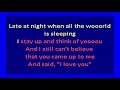 Selena Dreaming Of You Karaoke