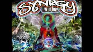 SYNRGY - Live in Love
