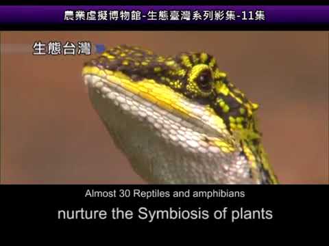Taiwan Ecology Series The abundant Taiwan ecology