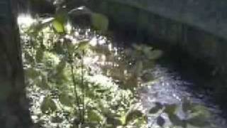 Adiemus - Cantus Insolitus