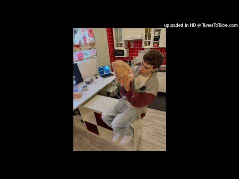 free for profit rocket x slimesito type beat - "flash"