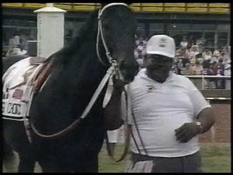 1988 Pimlico Special