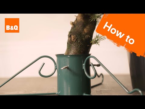 Holiday Christmas Tree Maintenance Guide