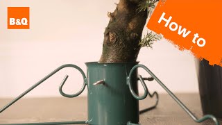 How to Care for Your Live Christmas Tree