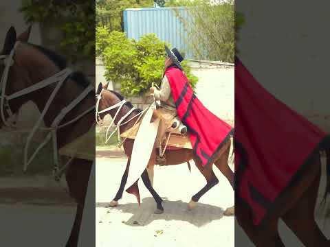 Luciano Burgos #desfilespatrios #gauchos #fiesta #patronal #tradición #guachipas #saltacapital