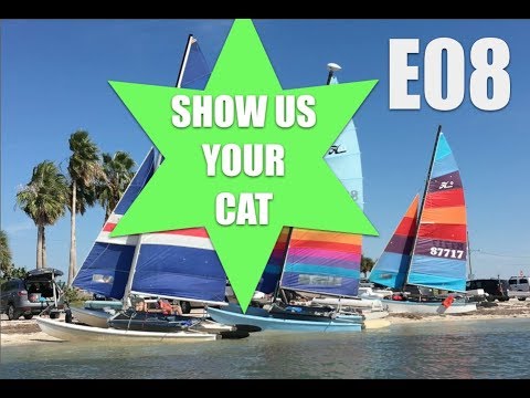 Show us your cat! E08 Spain, UK and USA