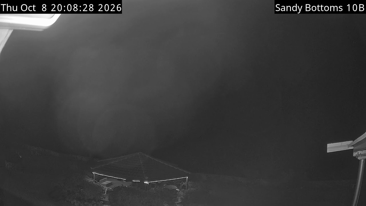 Live webcam view of Sandy Bottoms Dive Resort Reef View