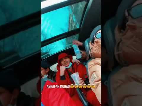 morad feat ashafar bcn X ams #morad #ashafar #Barcelona #Amsterdam