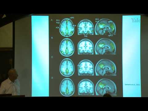 The History of Consciousness