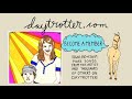 Headlights - Your Old Street - Daytrotter Session