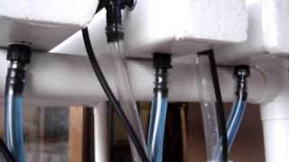 Thumbnail for video: Hydroponics 3 NFT and flood drain combination